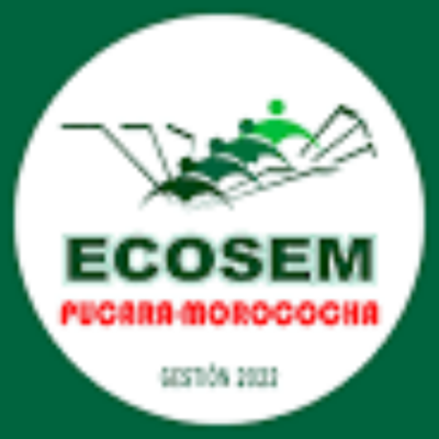 favicon ecosem pucara